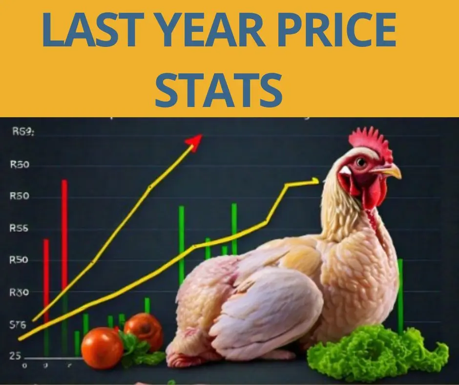 Today Chicken Rate In Pakistan cities 12 Chicken price stats