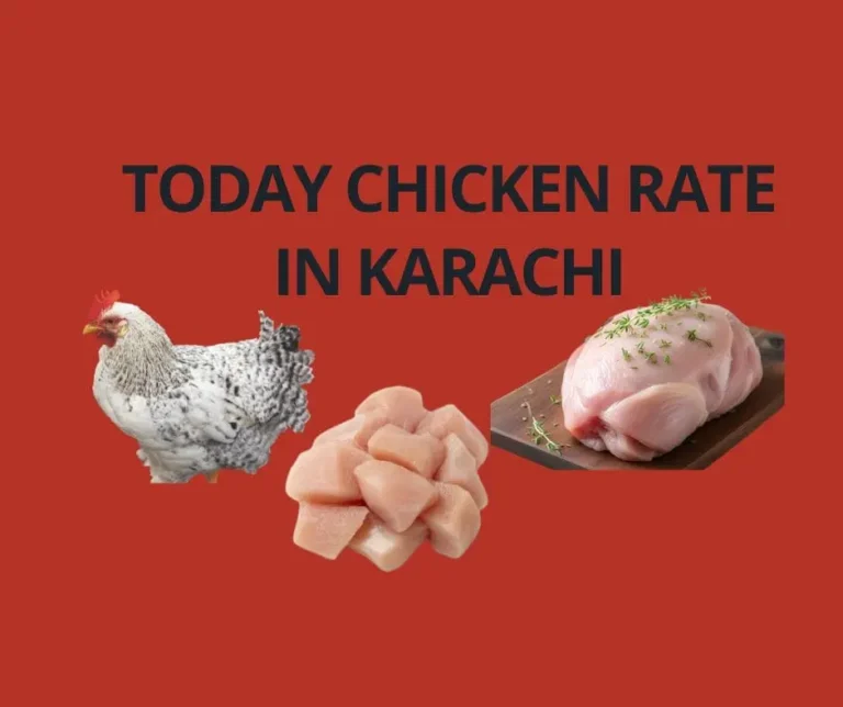 today chicken rate in Karachi