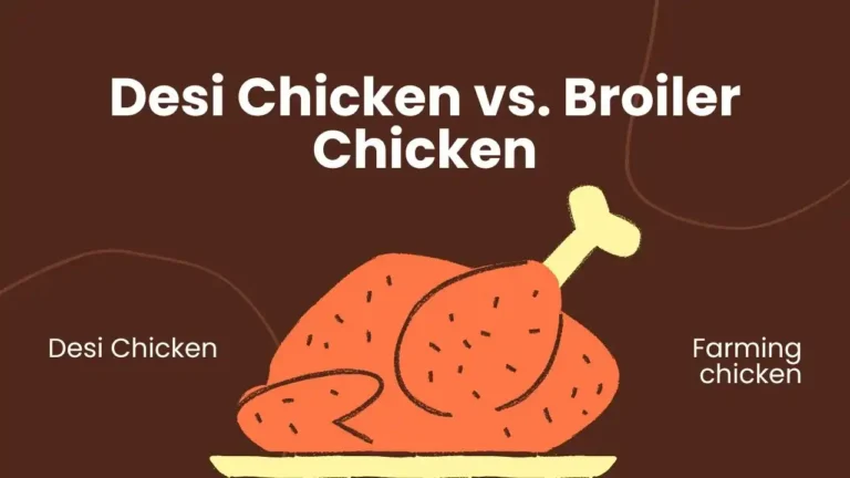 Desi Chicken vs Broiler Chicken